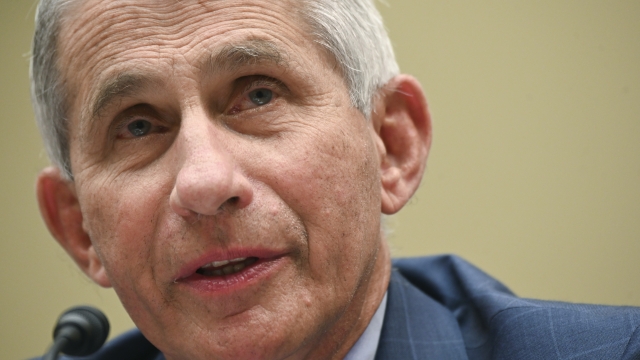 Dr. Anthony Fauci testifies before Congressional committee July 31.