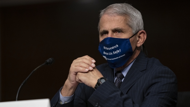 Dr. Anthony Fauci testifies on Capitol Hill.