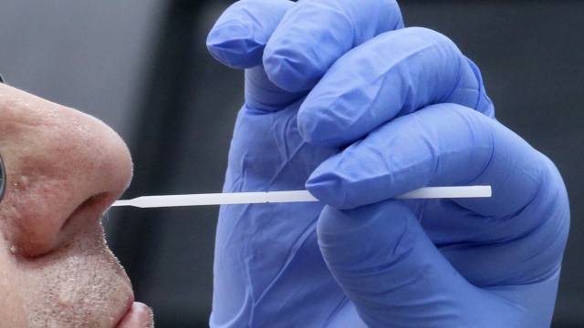 A nurse uses a swab to perform a coronavirus test.