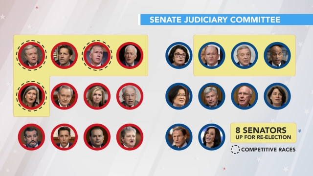 A graphic showing the 22-member Senate Judiciary panel.