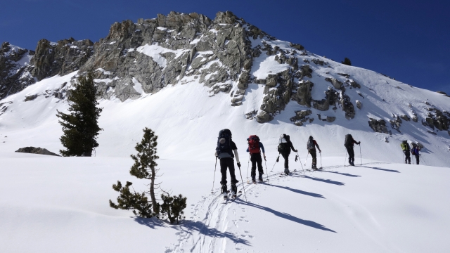 Skiers move around a mountain in Sequoia National Park, California.