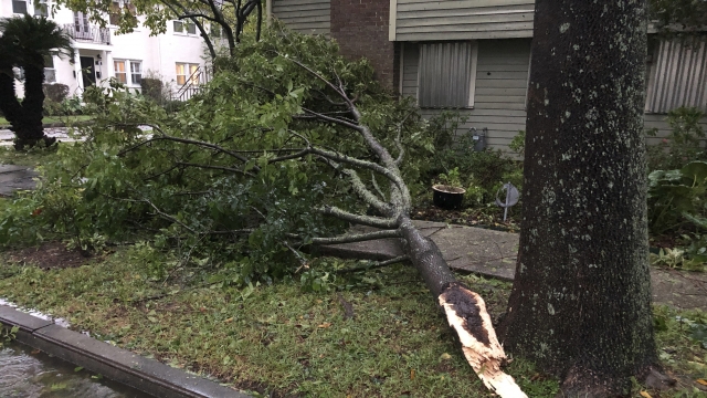 Part of a tree nearly hit a house in an Uptown neighborhood of New Orleans during Hurricane Zeta.