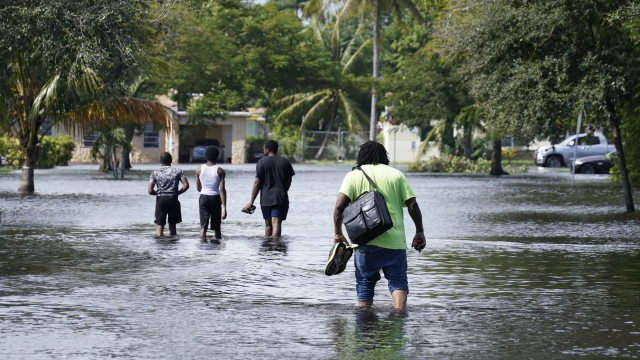 People walk a flooded street to reach their homes in Fort Lauderdale, Florida.