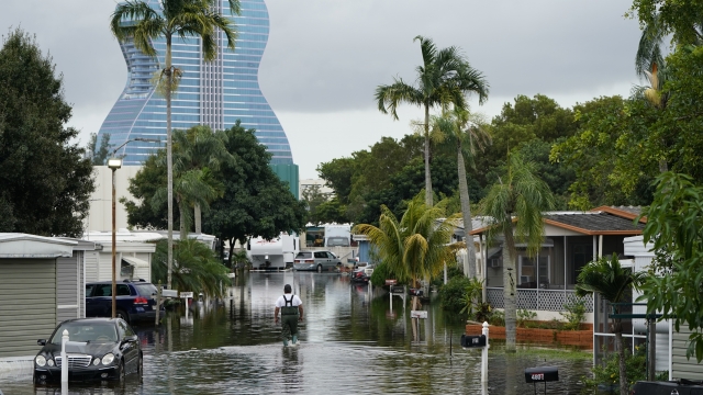 A person walks on a flooded street in the aftermath of Tropical Storm Eta in Davie, Florida.