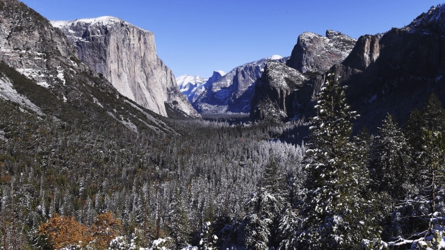 A light dusting of snow covers Yosemite Valley following the weekend's snowstorm in Yosemite National Park.