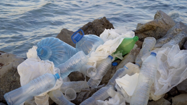 What Can We Do To Avoid Plastic?