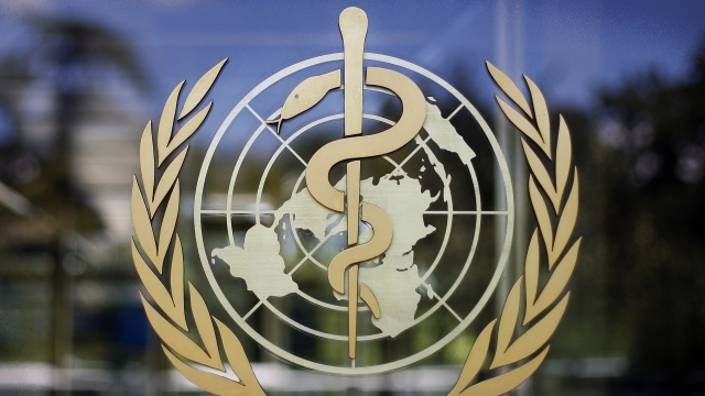 The logo of the World Health Organization