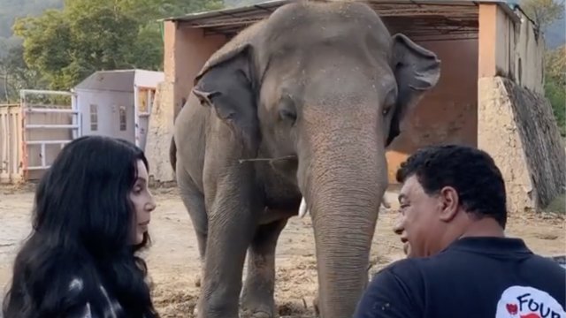 American pop start Cher and Dr. Amir Khalil, a veterinarian with Four Paws International, with Kaavan, the elephant.