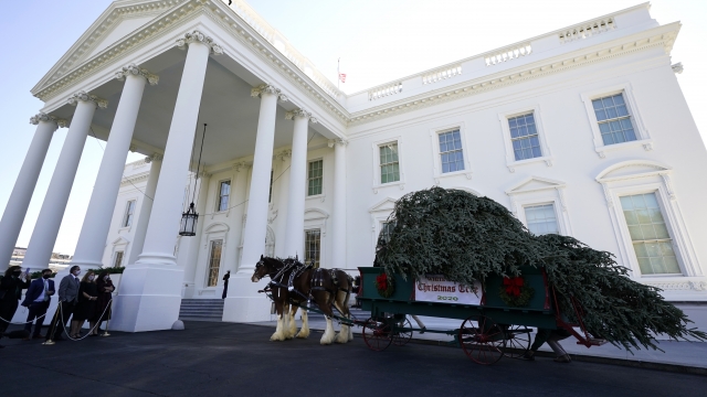 White House Christmas tree on cart