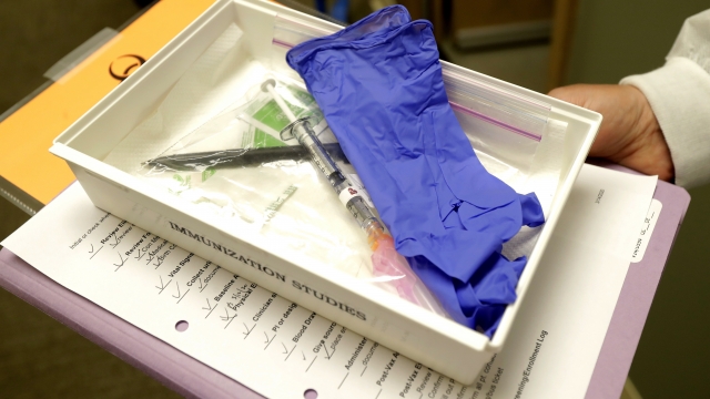A pharmacist holds a tray with a syringe containing a shot to be used in the first clinical trial of a potential vaccine.