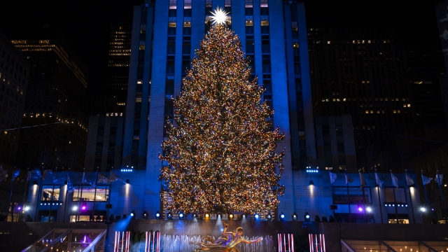 More than 50,000 lights on the 75-foot-tall Rockefeller Center Christmas Tree.