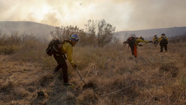 A hotshot hand crew works on a fireline while the Bond Fire burning in Silverado, California