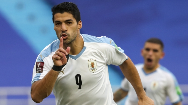 Uruguayan striker Luis Suarez is accused of cheating on his citizenship test.