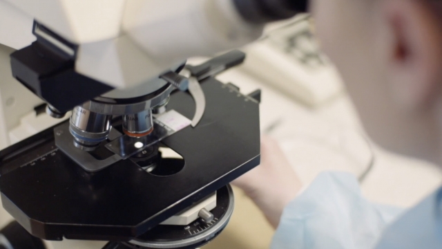 Researcher looks through microscope