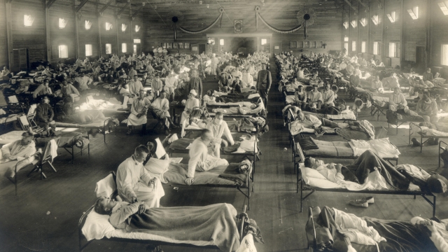 1918 flu patients lying in cots