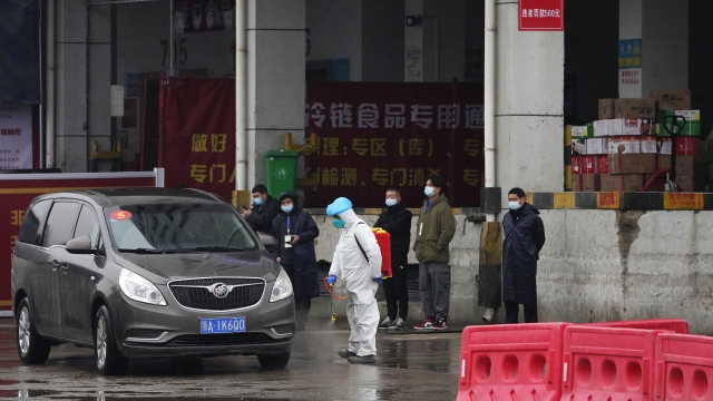 A worker disinfects a vehicle from the World Health Organization convoy while they visit a wholesale market in Wuhan