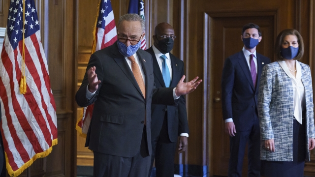 Senate Majority Leader Chuck Schumer and other Senate Democrats