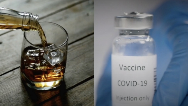Alcoholic drinks next to vaccine bottle