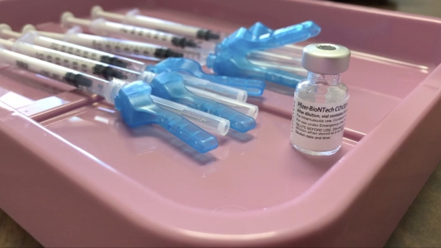 Vaccine bottle and needles