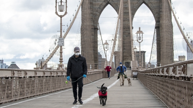 People wear facial masks for protection against the coronavirus as they walk their dogs on the Brooklyn Bridge