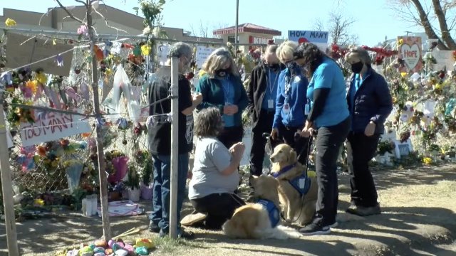 Therapy dogs comfort mourners.