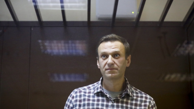 Russian opposition leader Alexei Navalny stands in the Babuskinsky District Court in Moscow, Russia