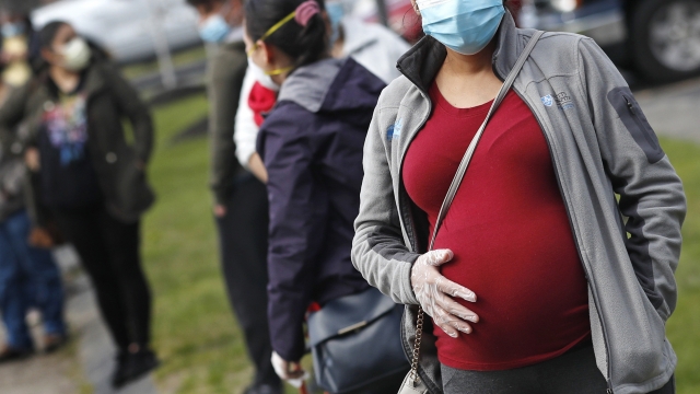 Pregnant woman wearing a face mask and gloves.