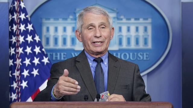 Dr. Anthony Fauci, director of the National Institute of Allergy and Infectious Diseases, speaks during a press briefing.