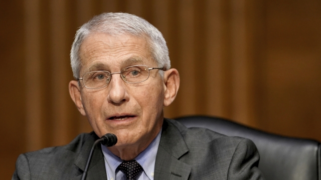 Dr. Anthony Fauci, the director of the U.S. National Institute of Allergy and Infectious Diseases