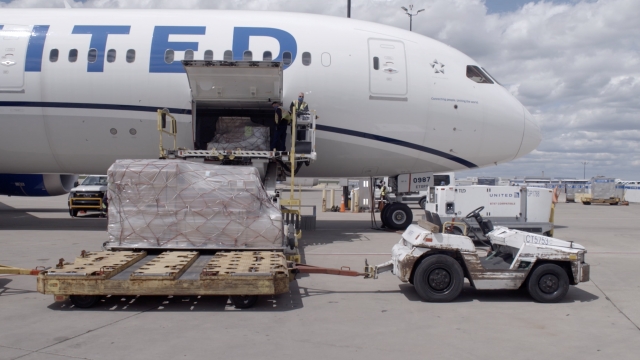 United Airlines 787 unloads cargo