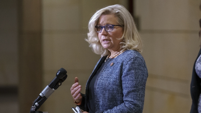 House Republican Conference Chair Rep. Liz Cheney, R-Wyo., speaks to reporters.