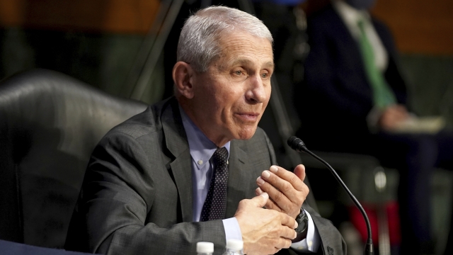 Dr. Anthony Fauci testifies at a Senate hearing to examine the COVID-19 response.