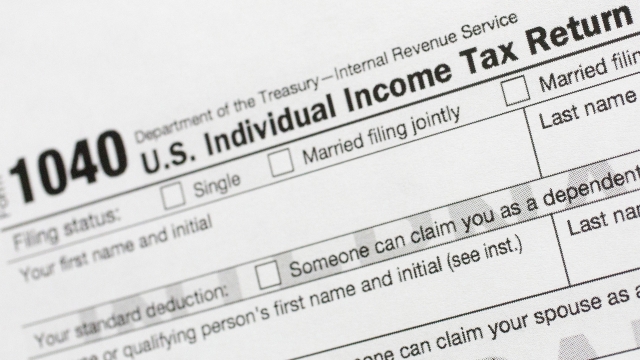 A portion of the 1040 U.S. Individual Income Tax Return form