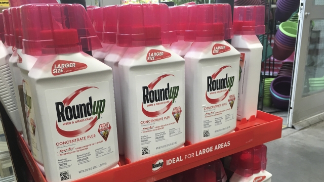Containers of Roundup weed and grass killer.
