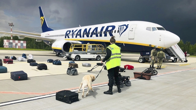 Security use a sniffer dog to check the luggage of passengers on a Ryanair plane
