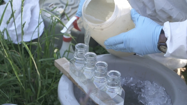 Researcher takes samples of wastewater