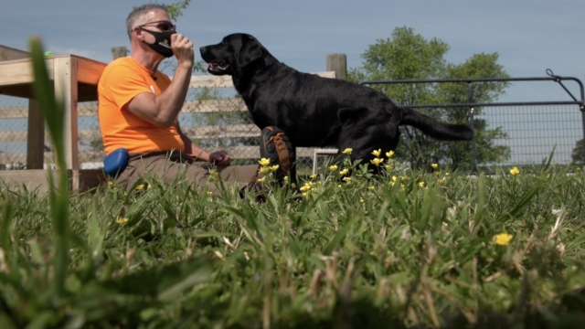 Veteran plays with dog