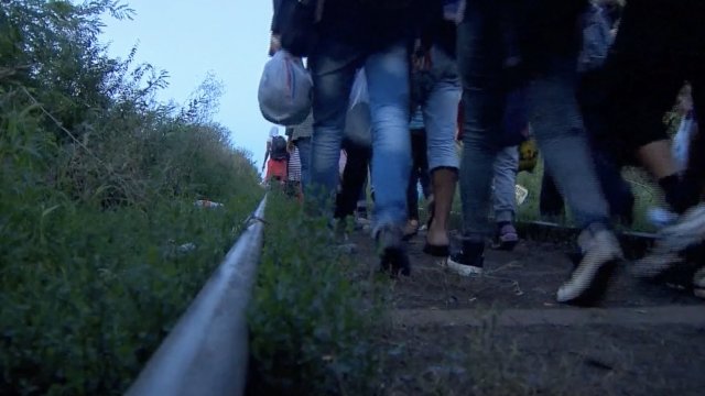 A group of migrants walking.