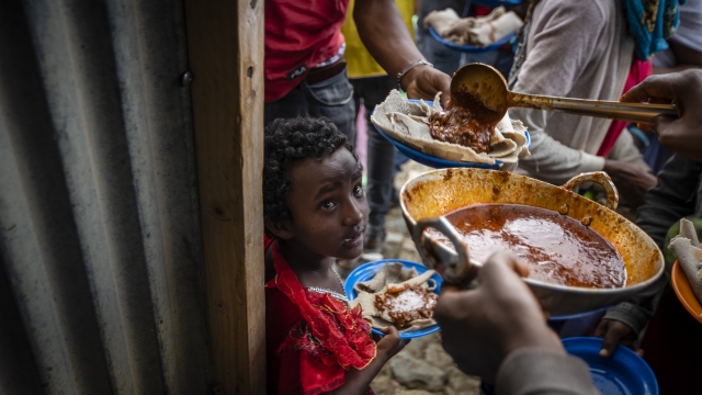 Displaced Tigrayans receiving food