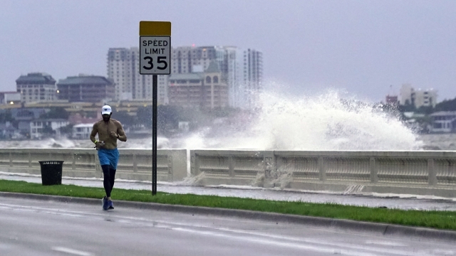 A jogger makes his way along Bayshore Blvd.