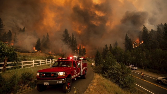 Firefighters battle the Tamarack Fire in the Markleeville community of Alpine County, Calif.