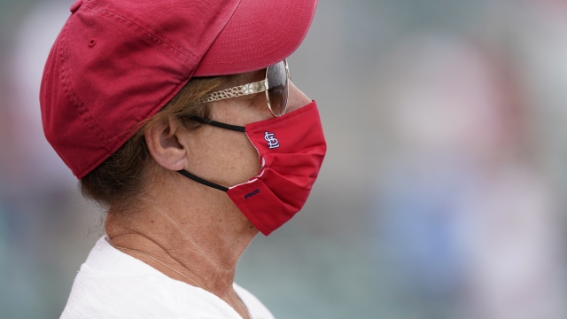 A St. Louis Cardinals fan wearing a protective face mask.