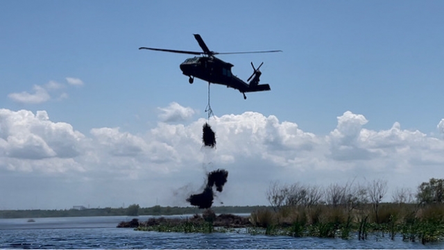 Black Hawk helicopter drops recycled fir trees into the Bayou Sauvage National Wildlife Refuge.