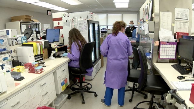 Women work in a lab.