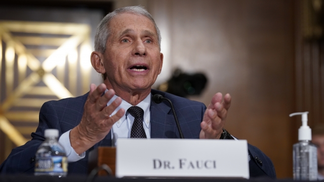 Top infectious disease expert Dr. Anthony Fauci