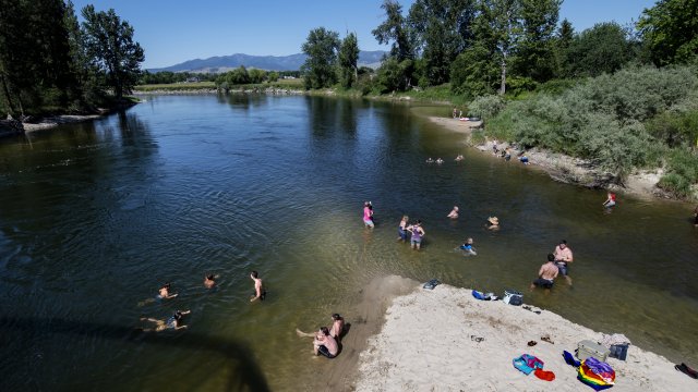 Missoulians cool off in the Bitterroot River as temperatures rise.