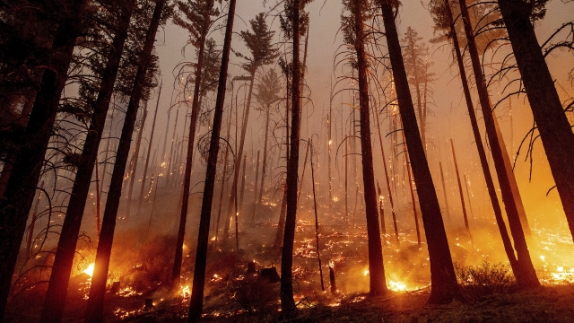 The Dixie Fire burns along a hillside near Taylorsville in Plumas County, California.