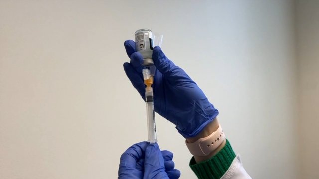 Person fills a syringe