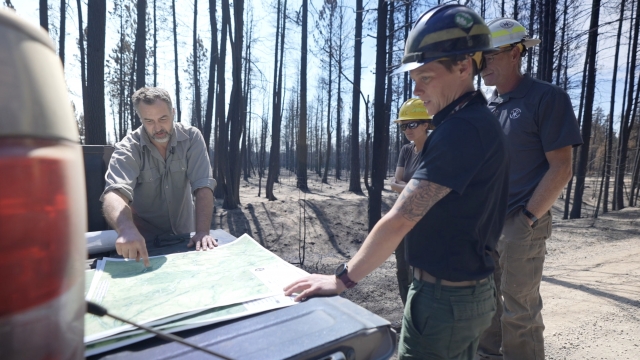 Group studies wildfire activity