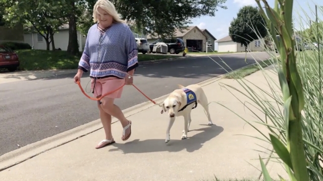 Woman walks a dog.